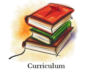 Curriculum